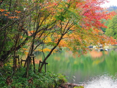 秋の雲仙白雲の池