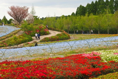 春色ツツジ園
