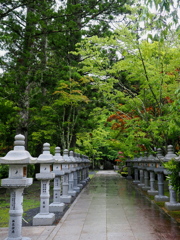 奥之院灯籠の道