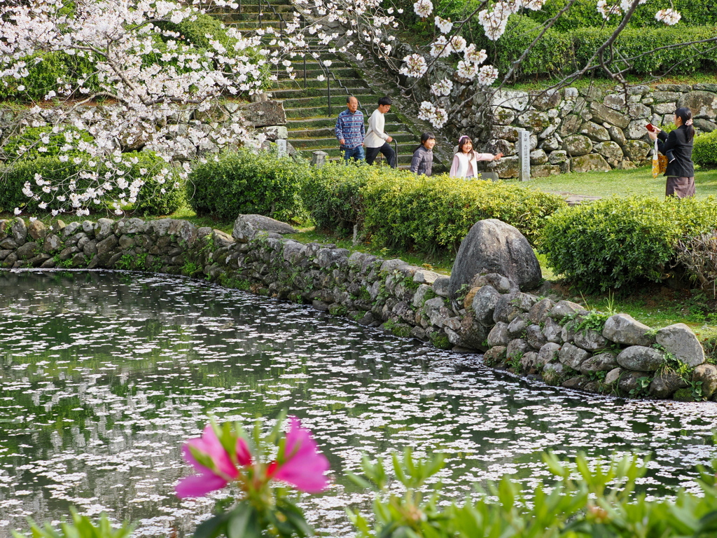 桜の池のほとりで