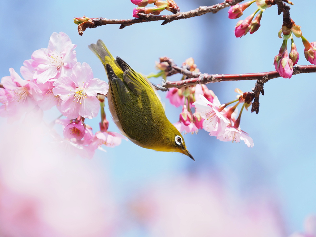 春の陽光の中で～２