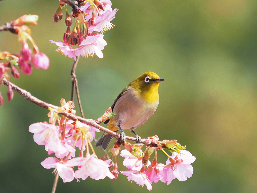 春の陽光の中で～１