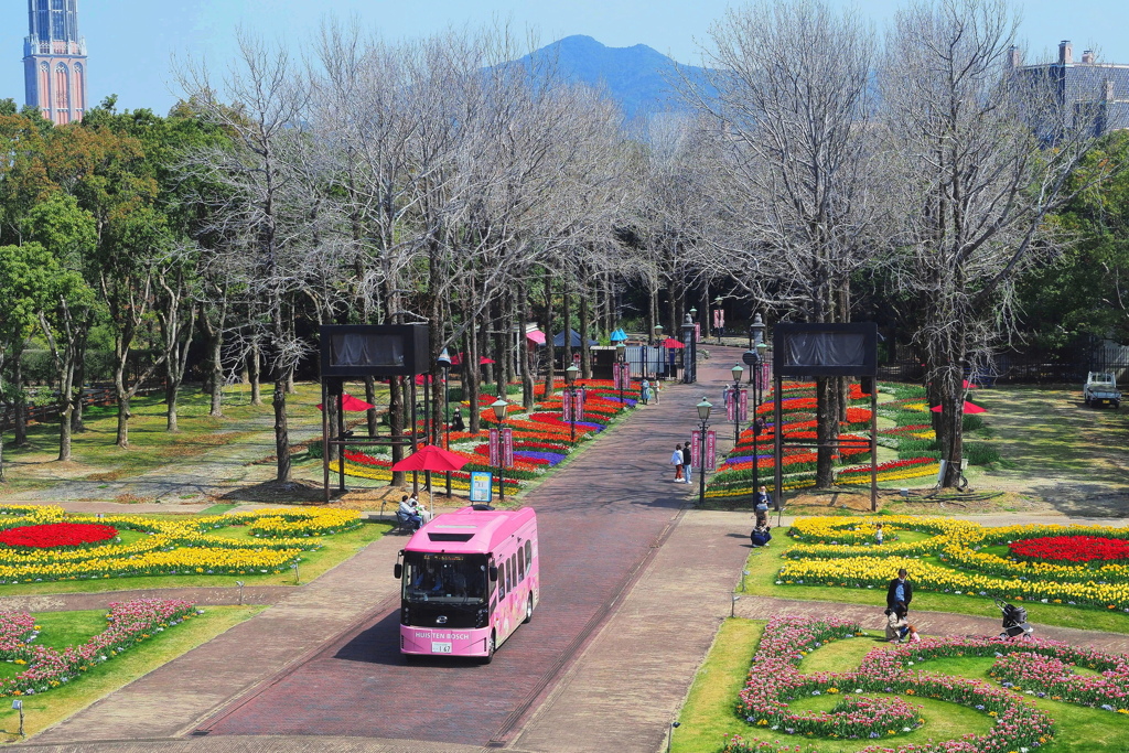 花の庭園とバス