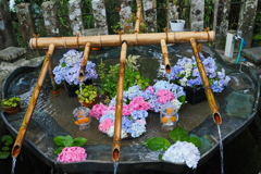 青岸渡寺手水鉢