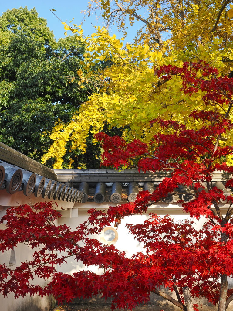 城址の彩り