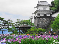 大村公園菖蒲園～１