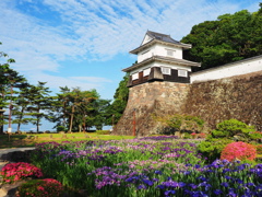 櫓と花菖蒲