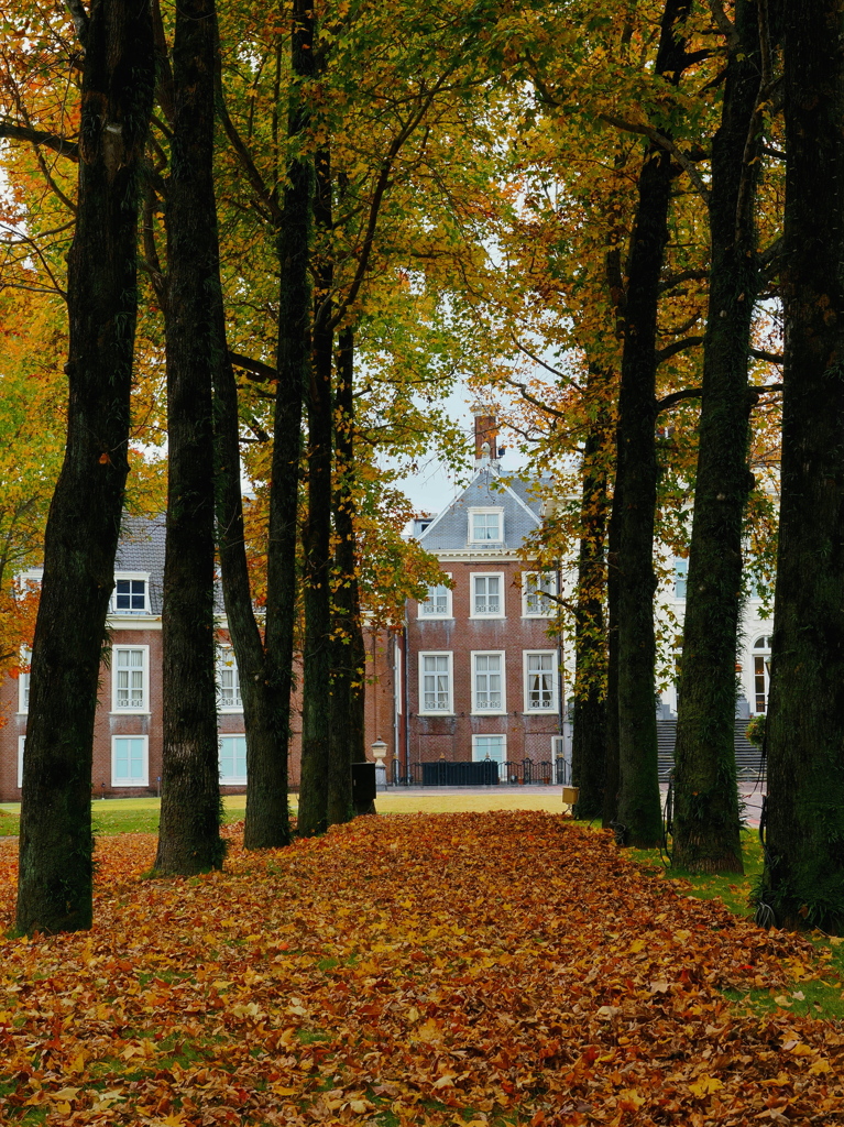 落葉のコンチェルト～１