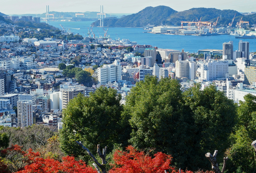 森の向こうの港