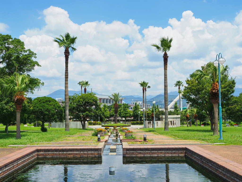 真夏の公園