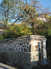 五色塀と柿の木