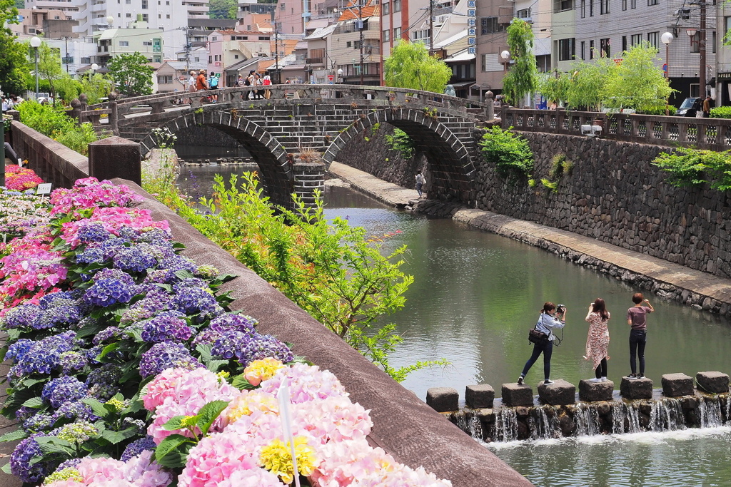 紫陽花と眼鏡橋