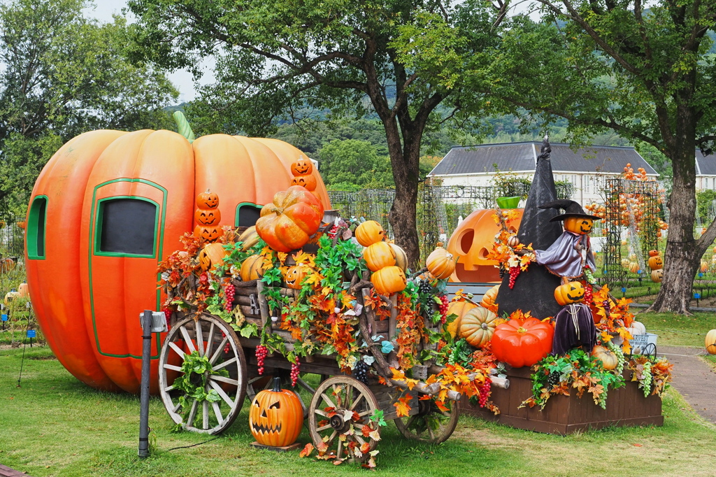 ハッピーハロウィン