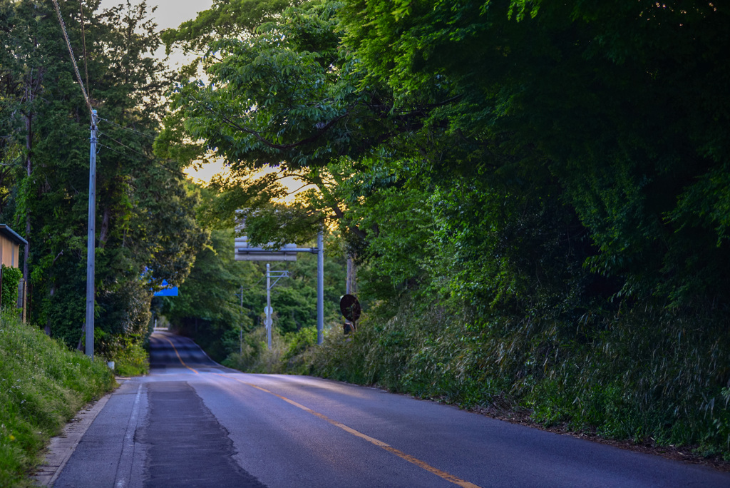 林道