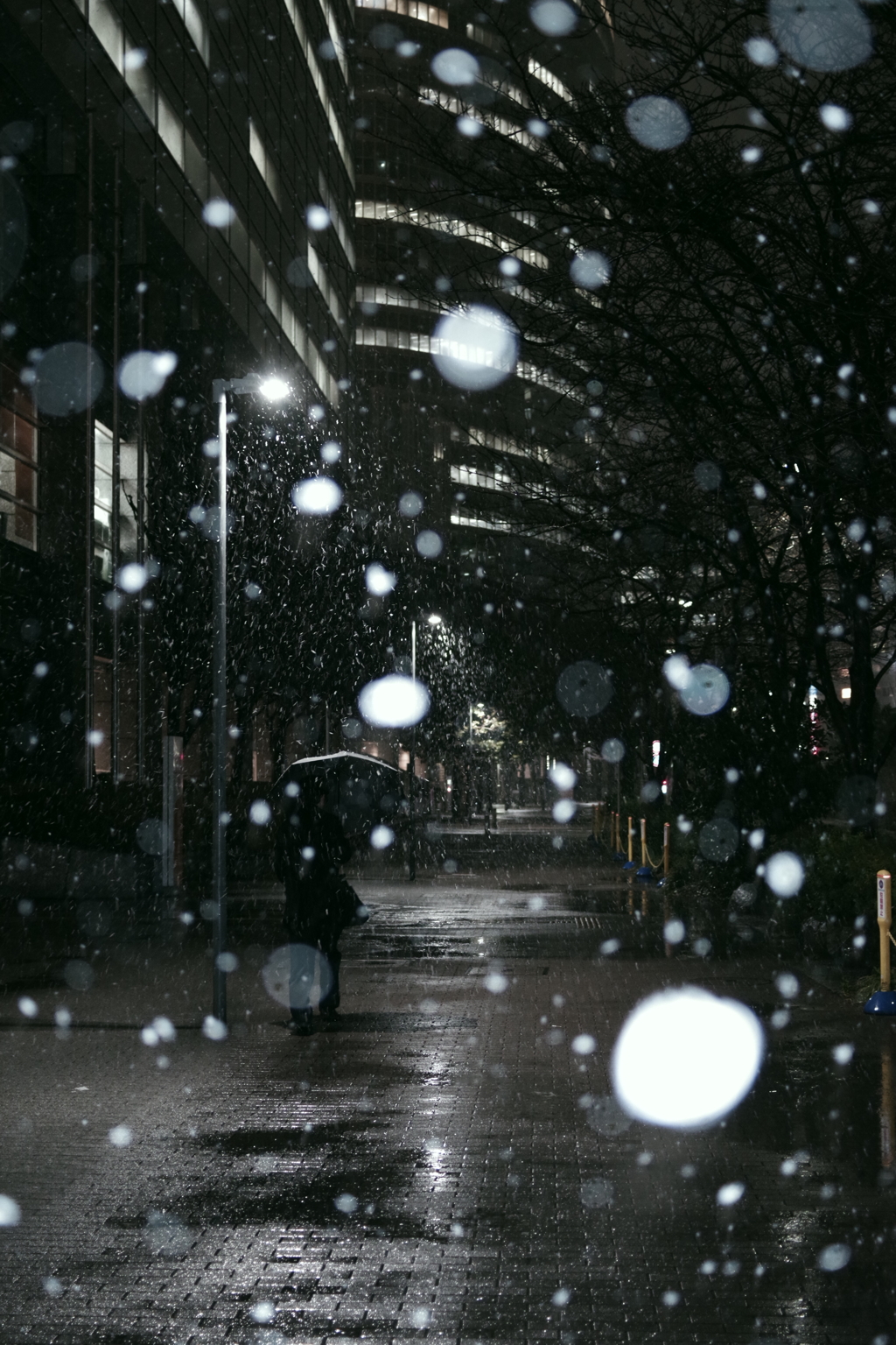 東京雪景色