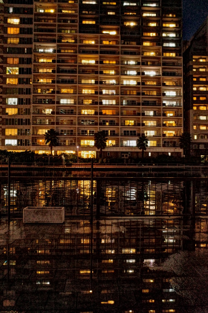 雨上がりの暮らし