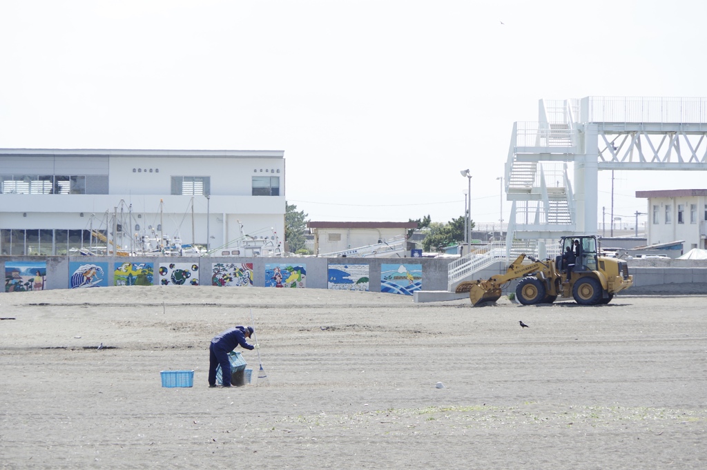 海岸清掃