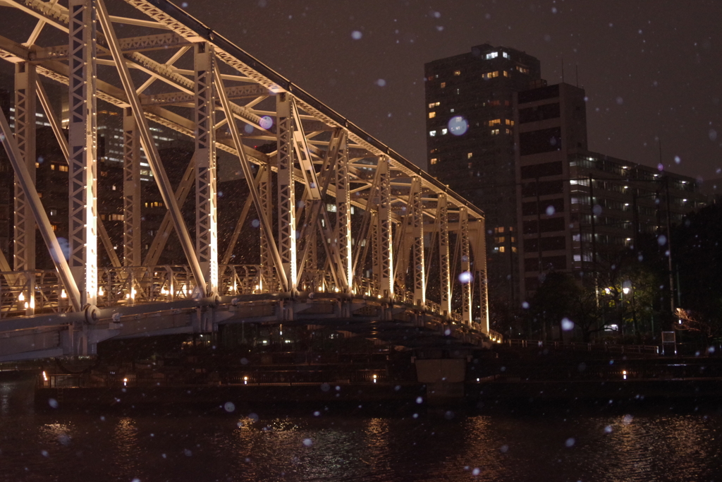 東京雪景色