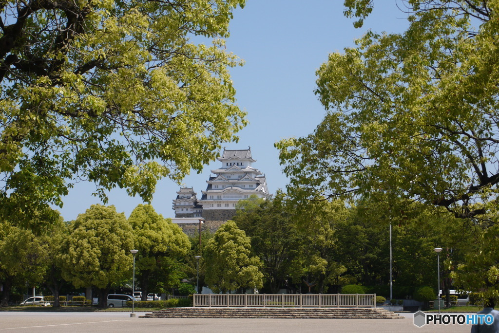 新緑の姫路城