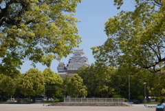 新緑の姫路城