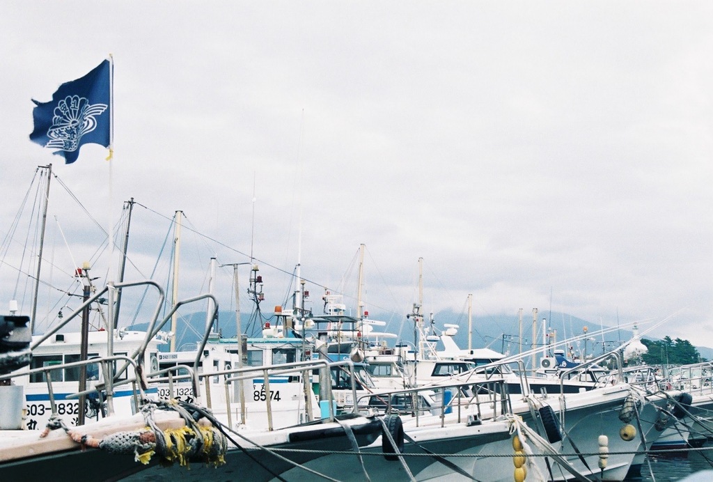 田子の浦と初めてのフイルム