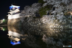 富山城