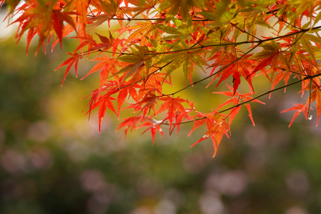 寺家公園