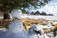 子供は雪が好き