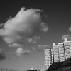 白島界隈
