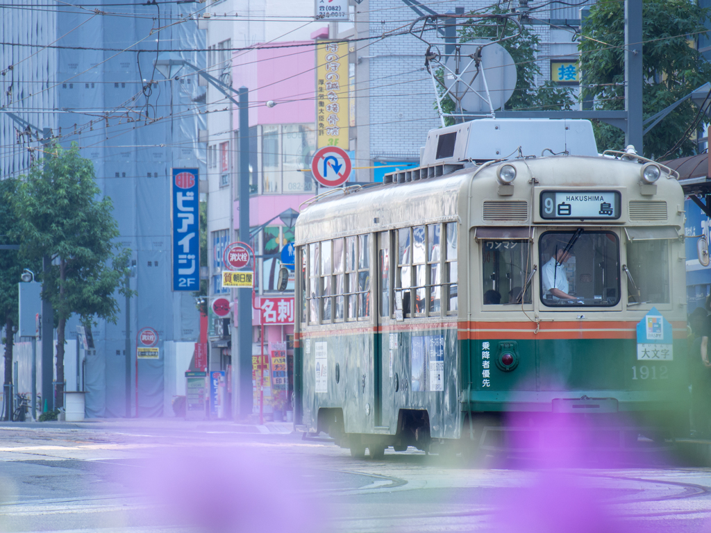 夏の朝