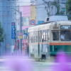 夏の朝