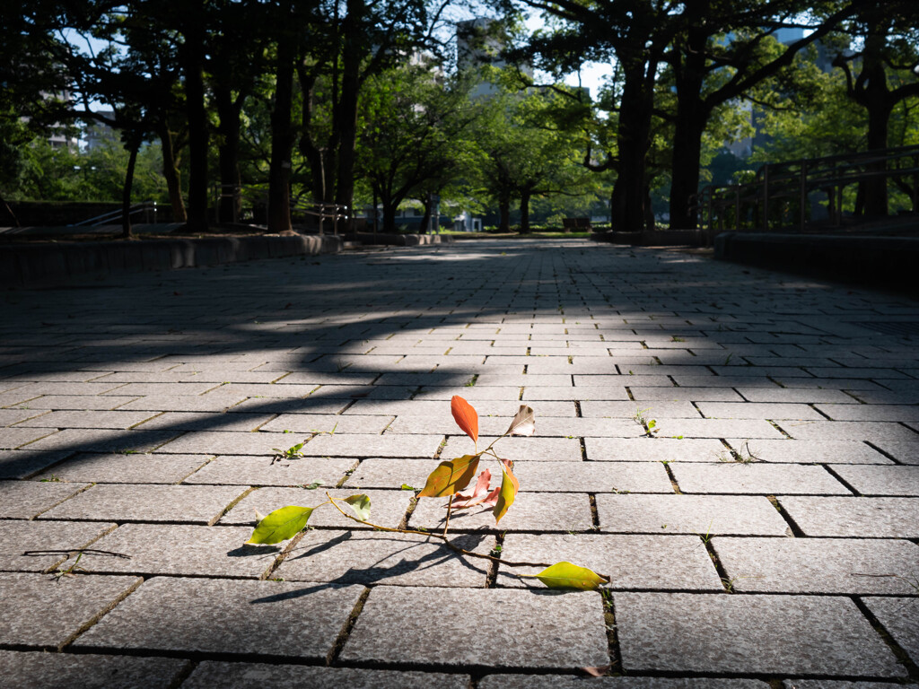 平和公園散策　31