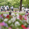 平和公園散策　26