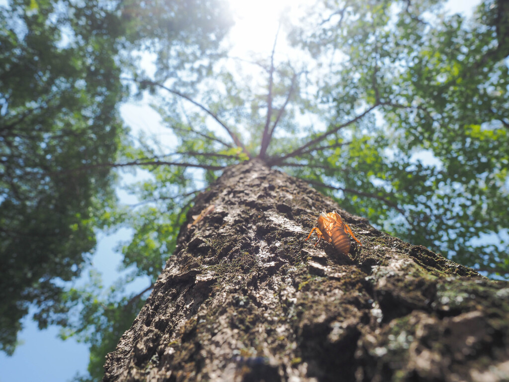 平和公園散策　2