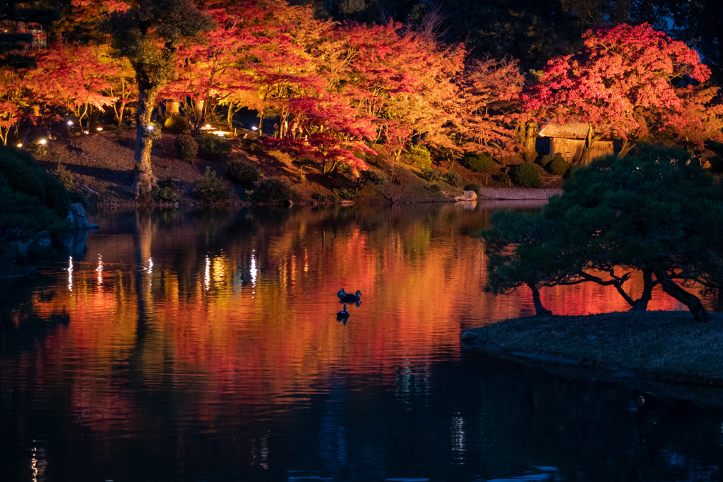 縮景園にて