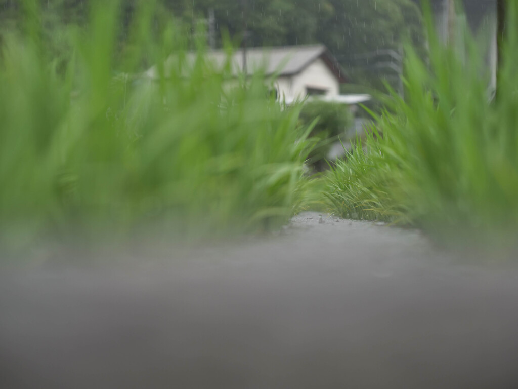 6月23日