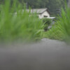 6月23日