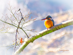 Wrapped in kindness