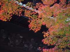 Kyoto, again