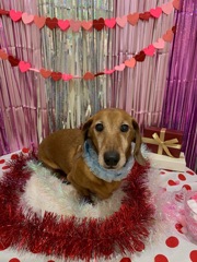 Happy Valentine’s!