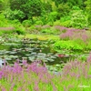 Monet's view of the world