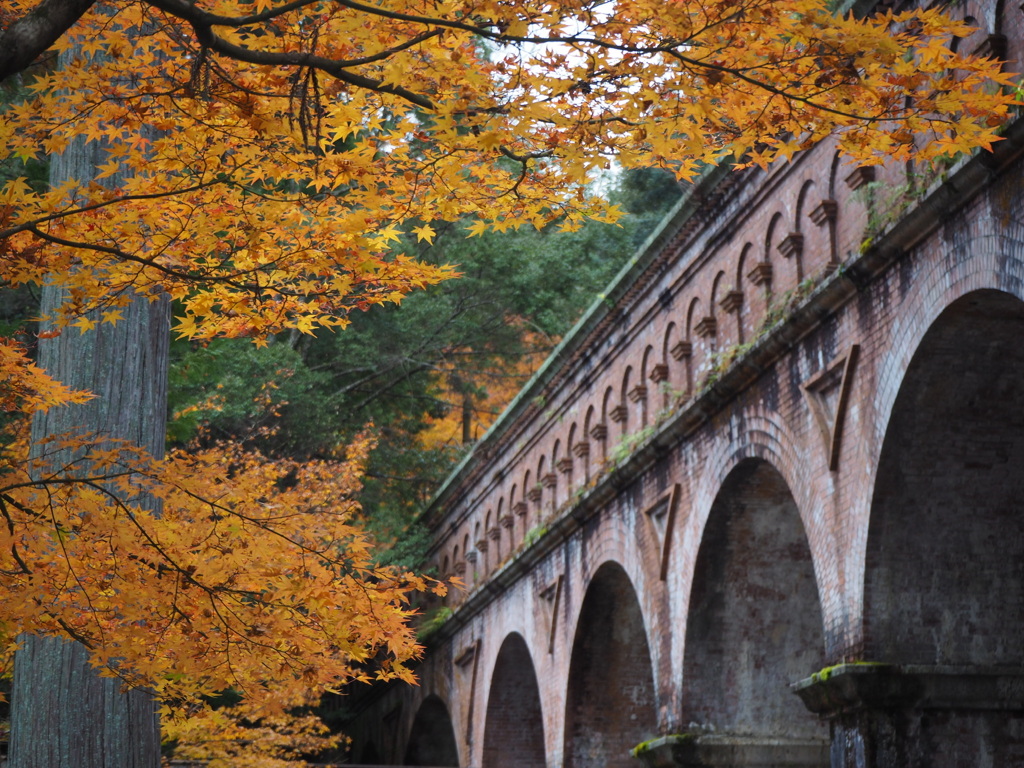 Kyoto, again