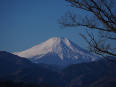 高尾山頂