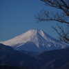 高尾山頂