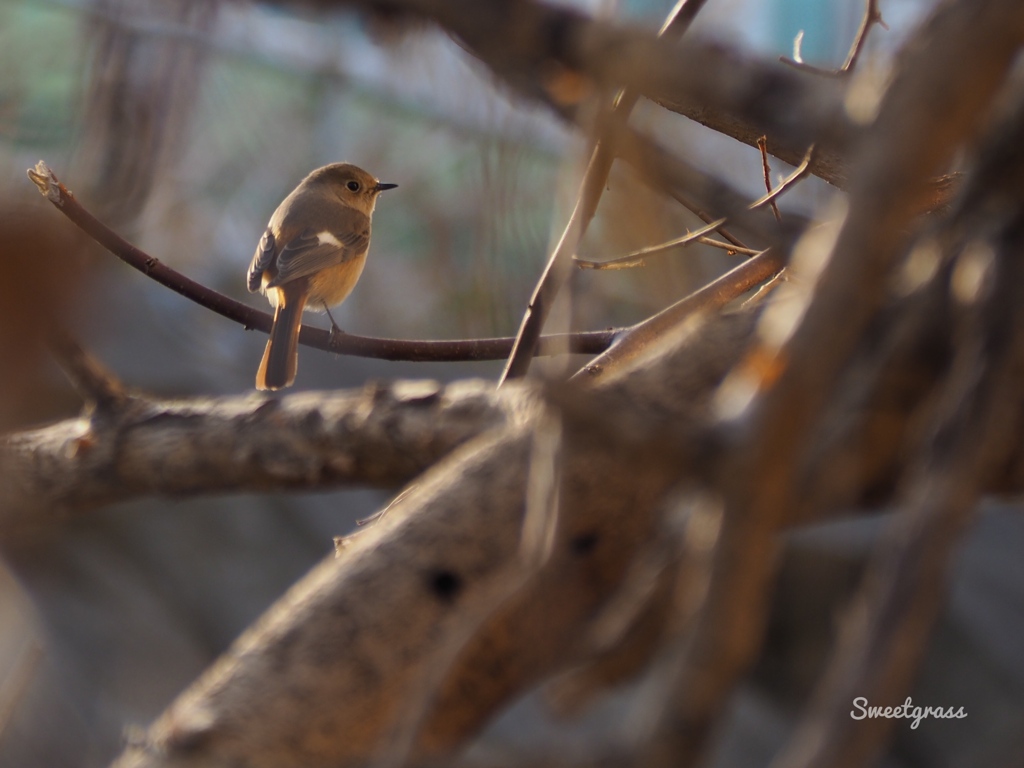 Bye, See you next fall