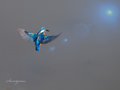 Let it go