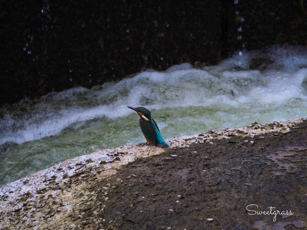 Challenge the wild stream