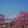 A scene of everyday life with Mt. Fuji