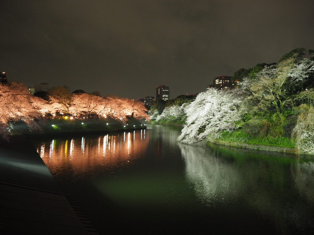 Good evening Tokyo