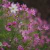 Impressionism